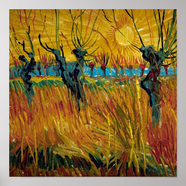 Willows at Sunset | Van Gogh | Poster (Front)