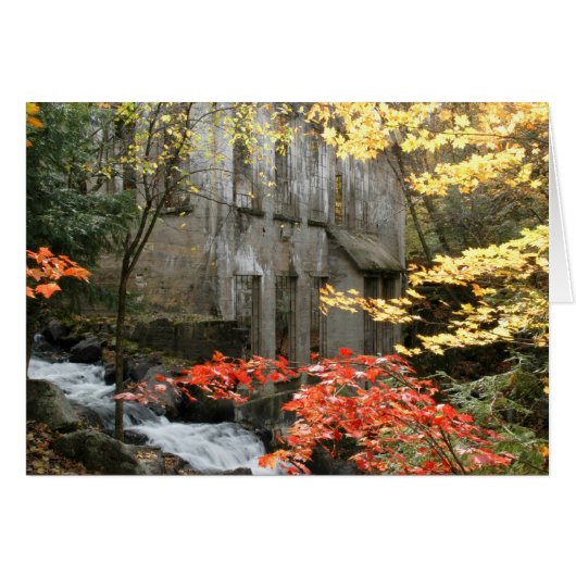 Willson's Ruins, Quebec. Cards (Front Horizontal)