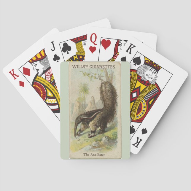 Wills's Collectible Cigarette Cards Ant-Eater (Back)
