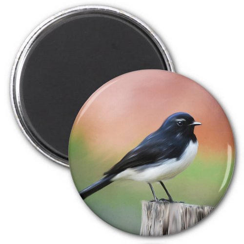 Willy Wagtail _ Australian Bird Art Magnet