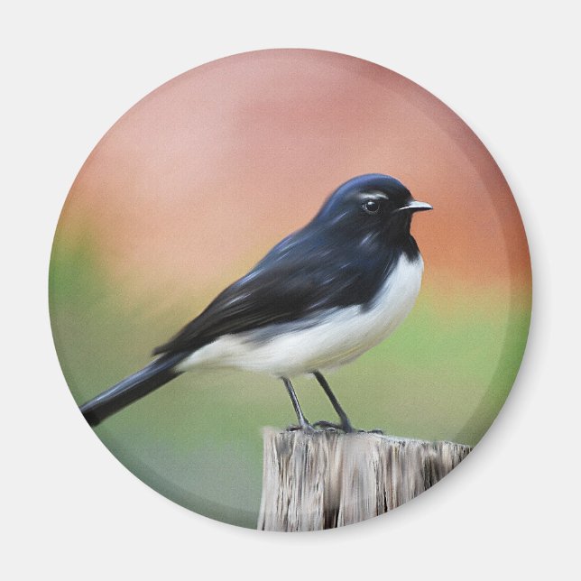 Willy Wagtail - Australian Bird Art Magnet (Front)