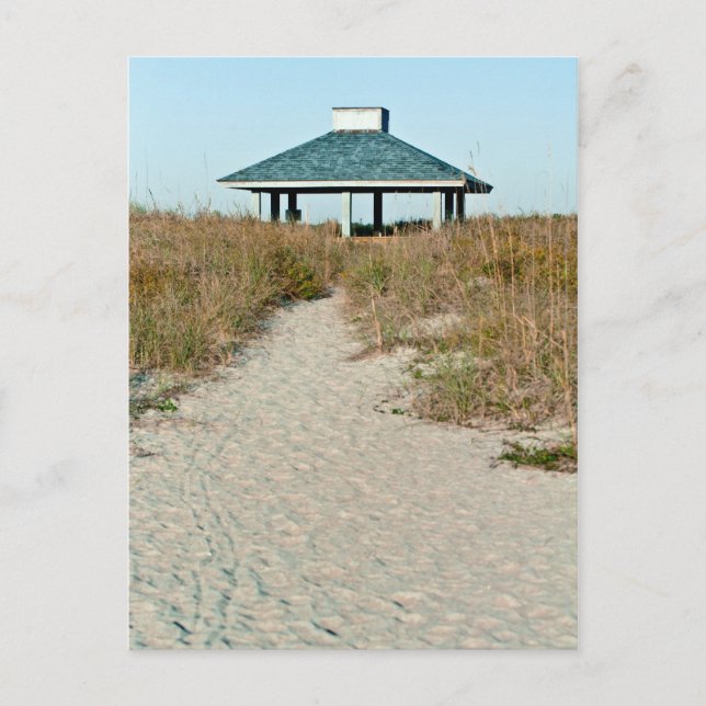 Wilmington NC Postcard (Front)