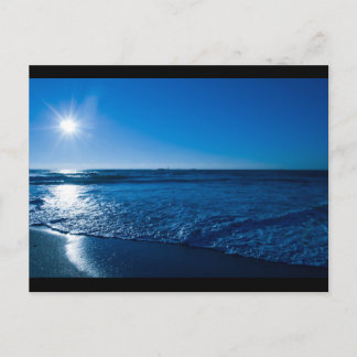Wilmington NC Postcard