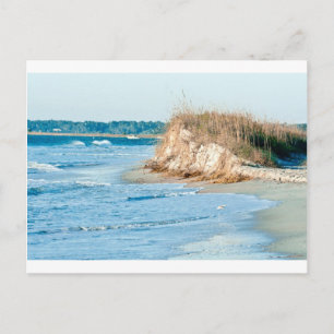 Wilmington NC Postcard