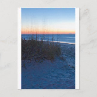 Wilmington NC Postcard