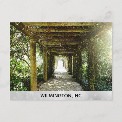 Wilmington North Carolina Airlie Gardens Travel Postcard