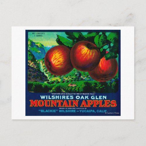 Wilshires Oak Glen Apple Crate Label Postcard