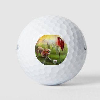 Wilson 500 golf balls with the dog golf image