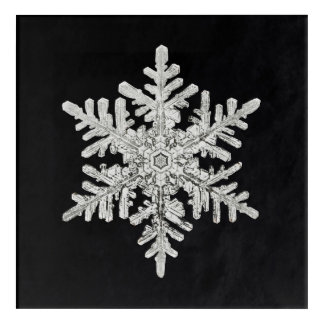 Wilson Bentley's Snowflake Acrylic Print