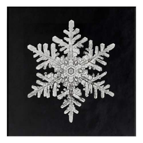 Wilson Bentleys Snowflake Acrylic Print