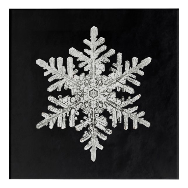 Wilson Bentley's Snowflake Acrylic Print (Front)
