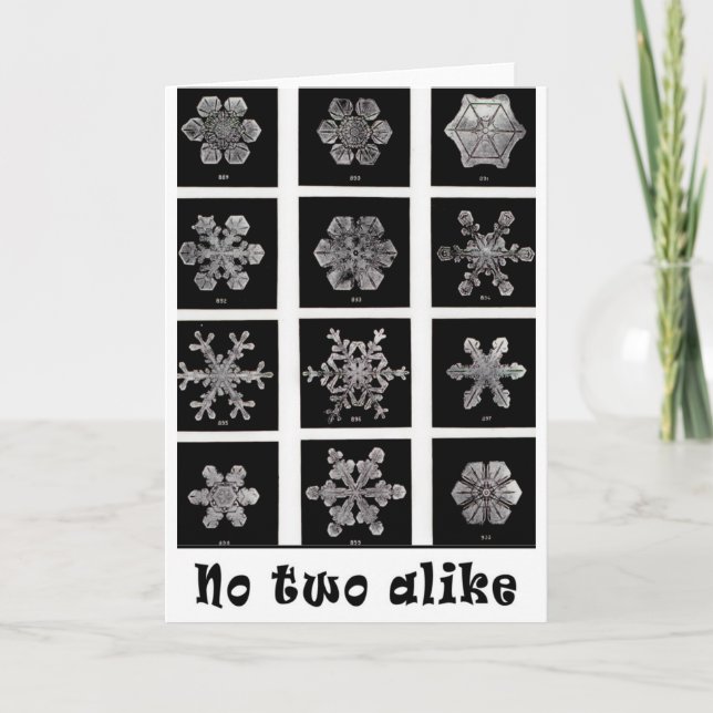 Wilson Bentley's Snowflakes, 1902 Holiday Card (Front)