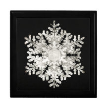 Wilson Bentley's 'Stellar Snowflake No. 586' 