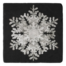 Wilson Bentley's 'Stellar Snowflake No. 586' 