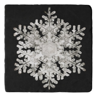 Wilson Bentley's 'Stellar Snowflake No. 586'  Trivet