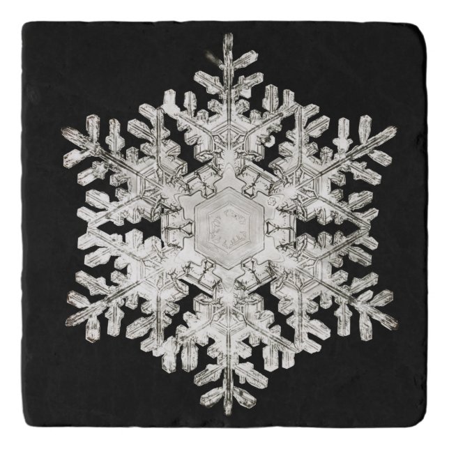 Wilson Bentley's 'Stellar Snowflake No. 586'  Trivet (Front)