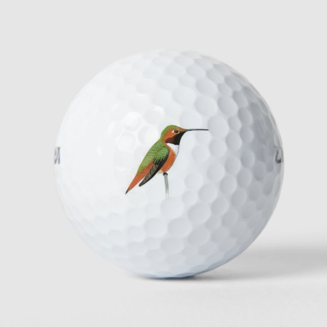 Wilson golf balls with a hand painted hummingbird (Front)