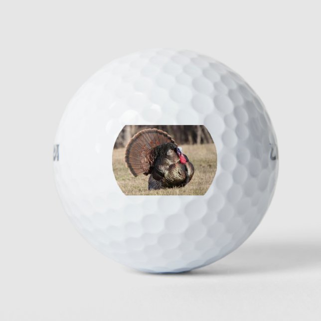 Wilson Golf Balls with a Tom Turkey (Front)