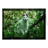 WiLSoN GReeN (Front Horizontal)