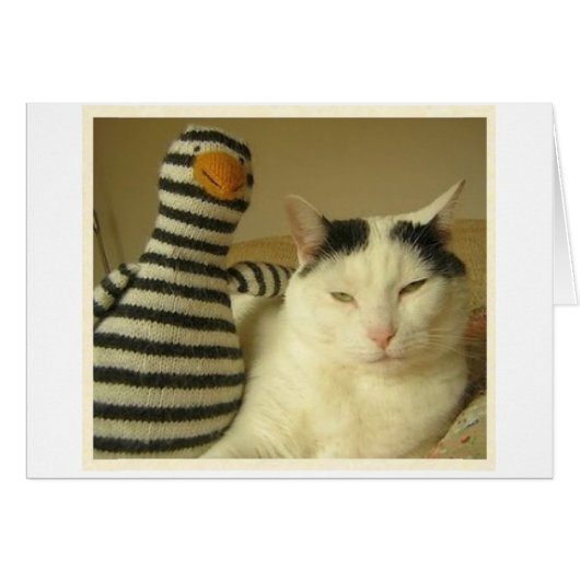 WILSoN & Pengy #1 Cards (Front Horizontal)