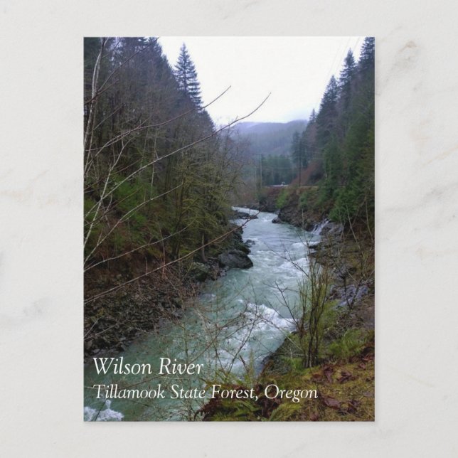 Wilson River, OR Postcard (Front)