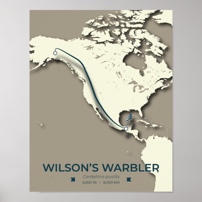 Wilson’s Warbler Migration Map – Minimalist Poster (Front)