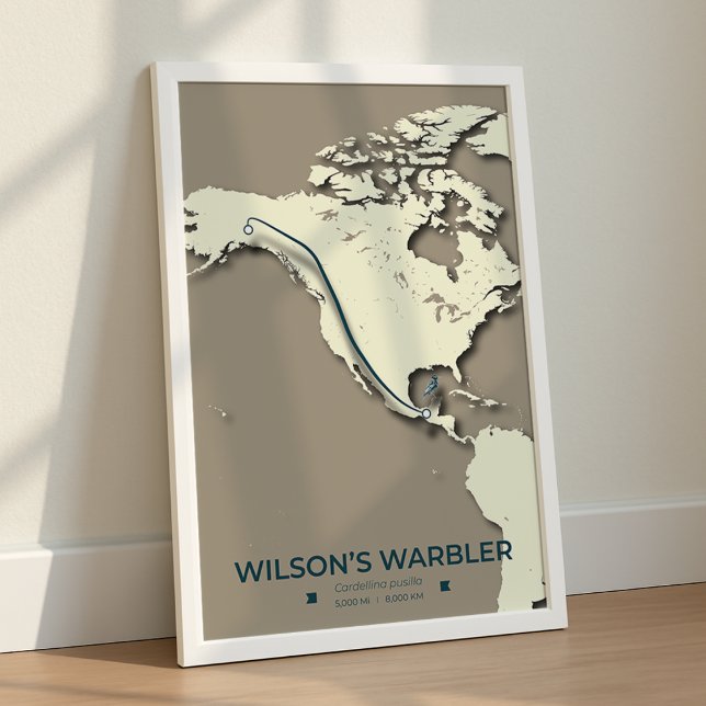 Wilson’s Warbler Migration Map – Minimalist Poster (Creator Uploaded)