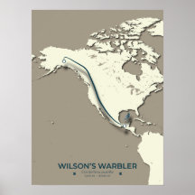 Wilson’s Warbler Migration Map – Minimalist