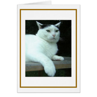 WiLSoN  Second Thought Card