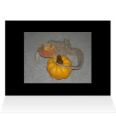 Wilson the Bearded Dragon Cards (Inside Horizontal (Top))