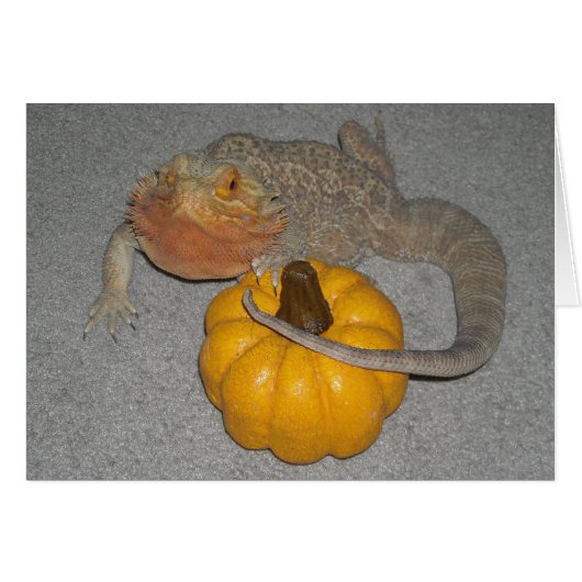 Wilson the Bearded Dragon Cards (Front Horizontal)