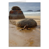 Wilson's Prom Whiskey Beach (Front)