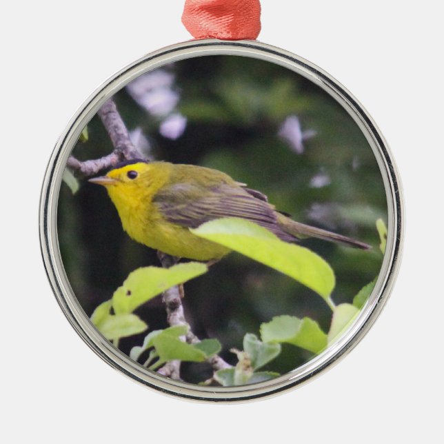 Wilson's Warbler Metal Ornament (Front)