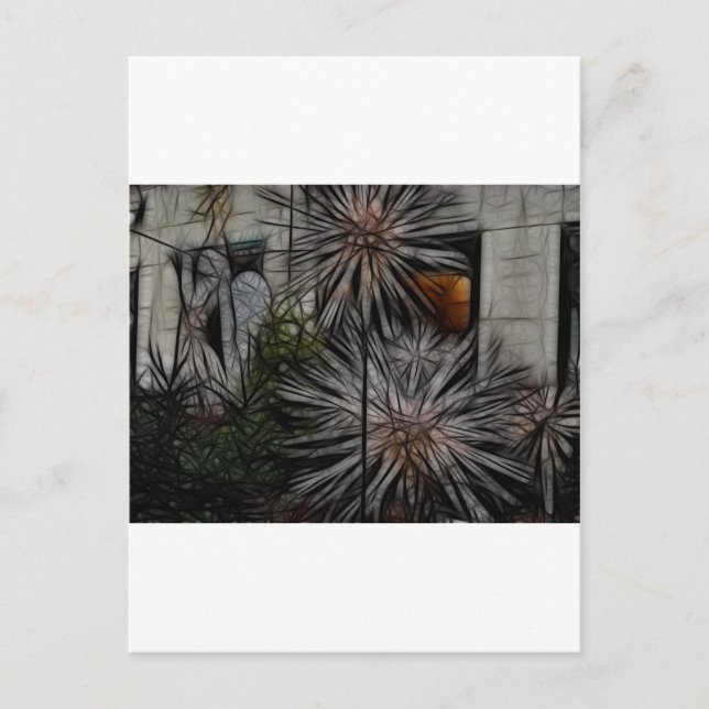 Wilted Honey Postcard (Front)