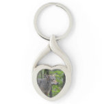 Wily Wolf Keychain