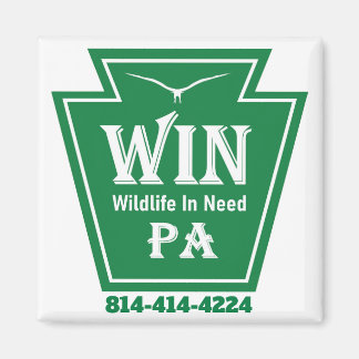 WIN LOGO Fridge Magnet