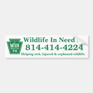 WIN LOGO + Phone Number Bumper Sticker