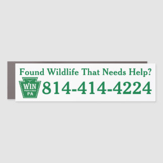 WIN LOGO Phone Number Car Magnet