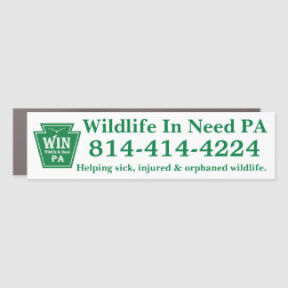 WIN LOGO + Phone Number **Magnetic* Bumper Sticker Car Magnet