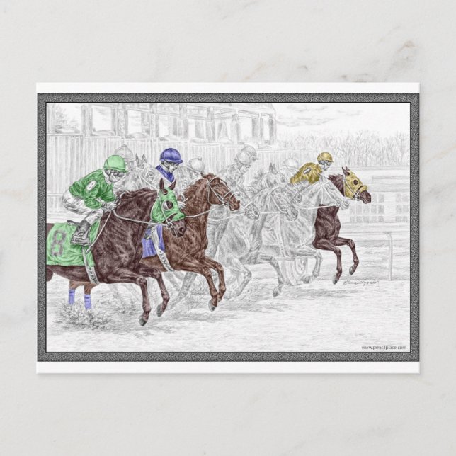 Win Place Show Race Horses Postcard (Front)