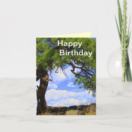 Wind Blown _ Happy Birthday Card