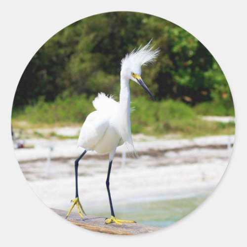 Wind blown Snowy Egret Classic Round Sticker