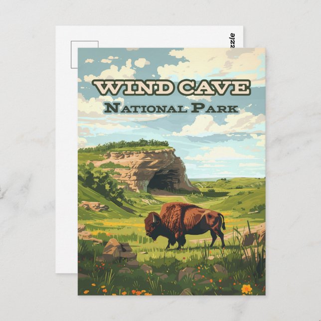 Wind Cave National Park Bison South Dakota Postcard (Front/Back)