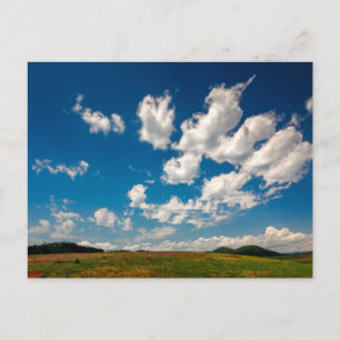 Wind Cave National Park, South Dakota Postcard