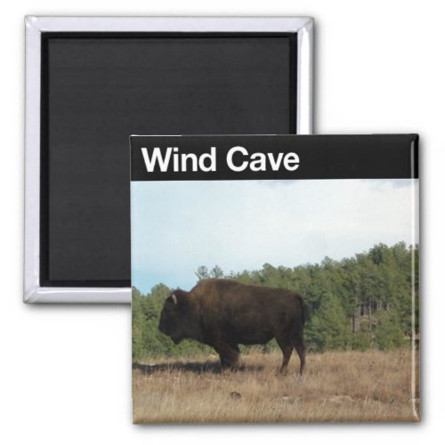 Wind Cave NP Magnet