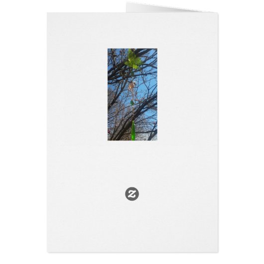 Wind chimes and Magnolia Branches Blank Card (Back)