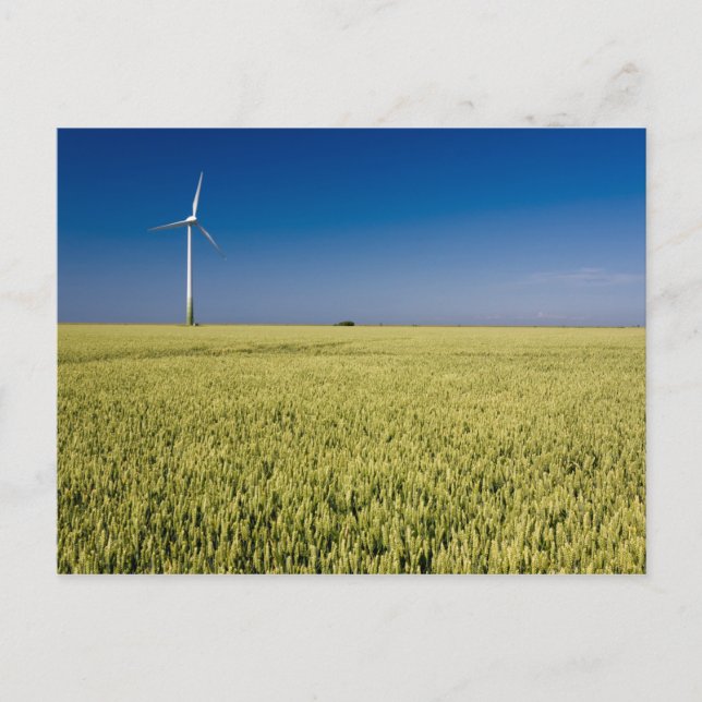 Wind Energy Postcard (Front)