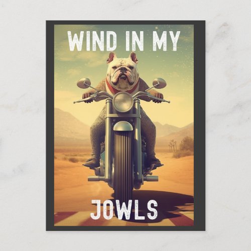 Wind in My Jowls  A Bulldog Riding a Motorcycle Postcard