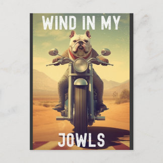 Wind in My Jowls : A Bulldog Riding a Motorcycle Postcard