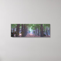 Wind in the Pines Canvas Print